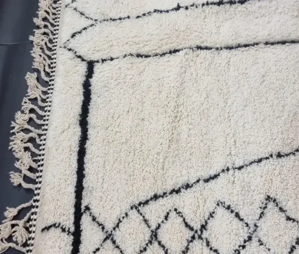 Black and White Rug